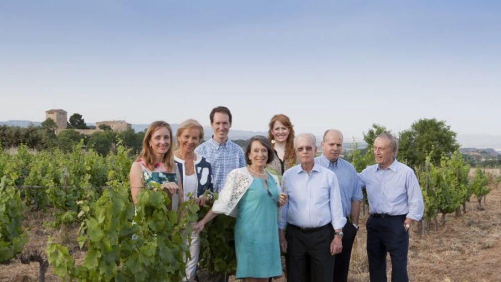 Criza climatică amenință viitorul uneia dintre cele mai vechi crame din Europa. Familia Torres ar putea renunța la viile istorice: „Irigația este viitorul. Nu ne mai bazăm pe vreme”