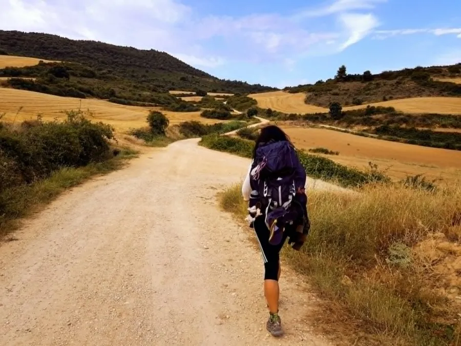 camino-de-santiago - camino-frances - pelerinaj - spania - santiago-de-compostela - gastronomie - mancare-de-calatorie - experienta-personala - jurnal-de-calatorie - tortilla-espanola - bocadillo - tapas - leon - roncesvalles - saint-jean-pied-de-port - albergue - pelerini - drumul-sfantului-iacob - galicia - navarra - bodegas-irache - fantana-de-vin - tinto-de-verano - paella - caracatita - fructe-de-mare - calatorii-culinare - g4food - experiente-gastronomice