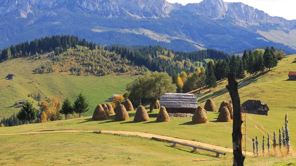 Revista FERMA: ”Fermierii români de la munte au la dispoziție un supliment financiar de 414.800.000 euro”