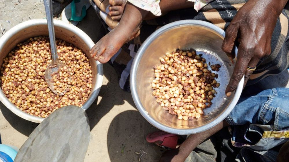 Reducerea ajutorului alimentar către Afganistan şi Yemen, de către administraţia Trump, pune milioane de oameni în pericol, spun surse umanitare