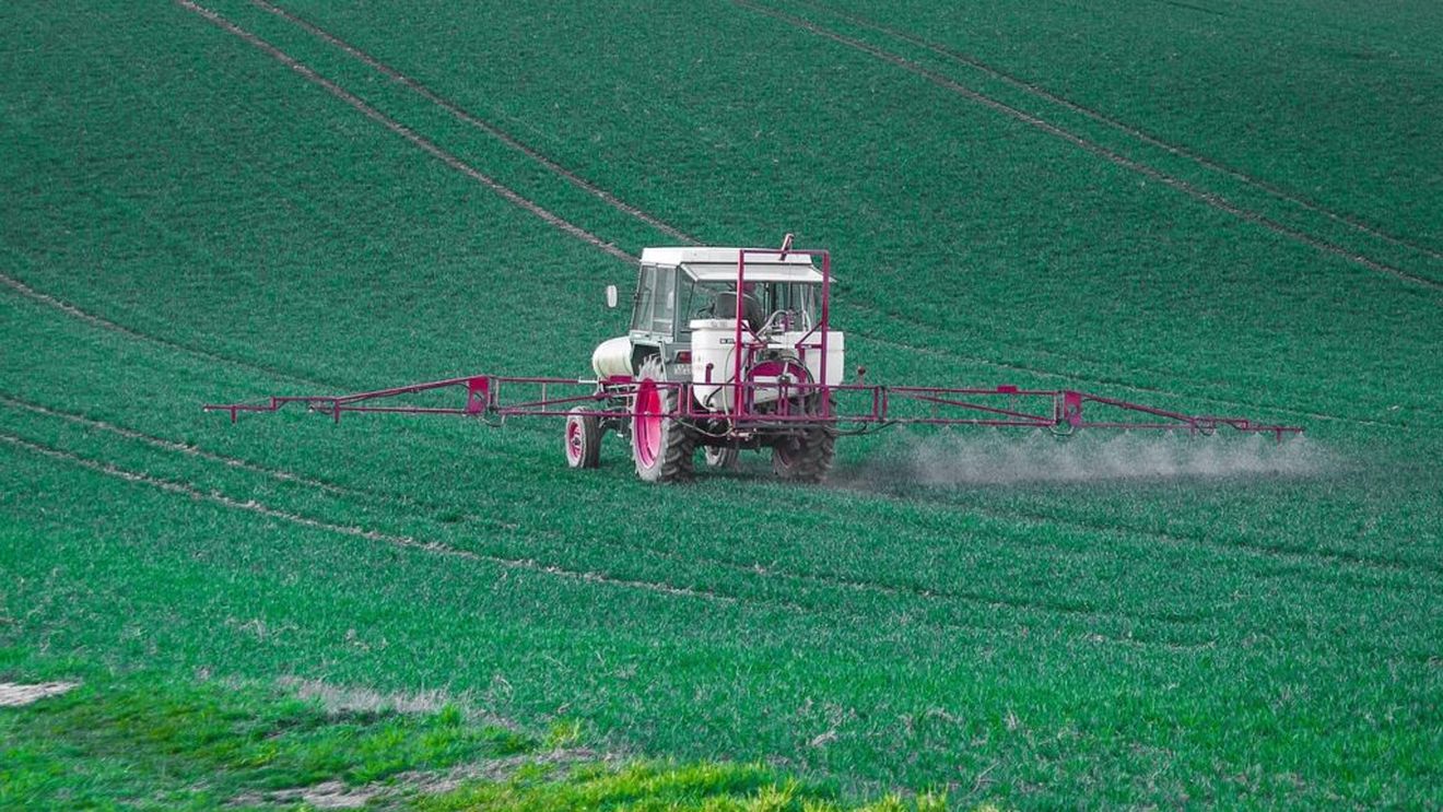 INS: În anul 2023 s-au folosit 3.992 tone fungicide şi 9.188 tone erbicide, sub formă lichidă, pentru protecția plantelor / 86,8% din suprafaţa cultivată cu grâu a fost tratată cu produse de protecţie a plantelor