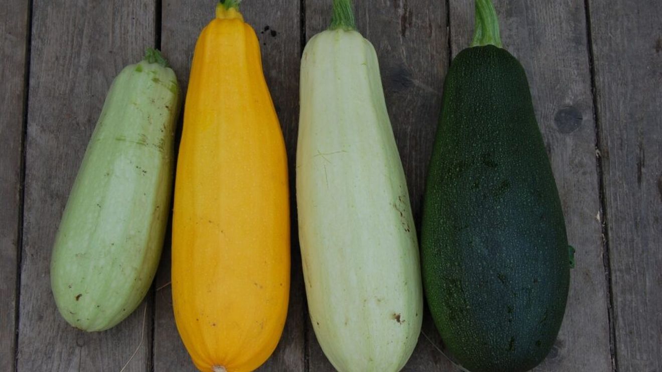 3 metode de conservare a dovleceilor pentru iarnă încercate și recomandate de un producător de legume bio