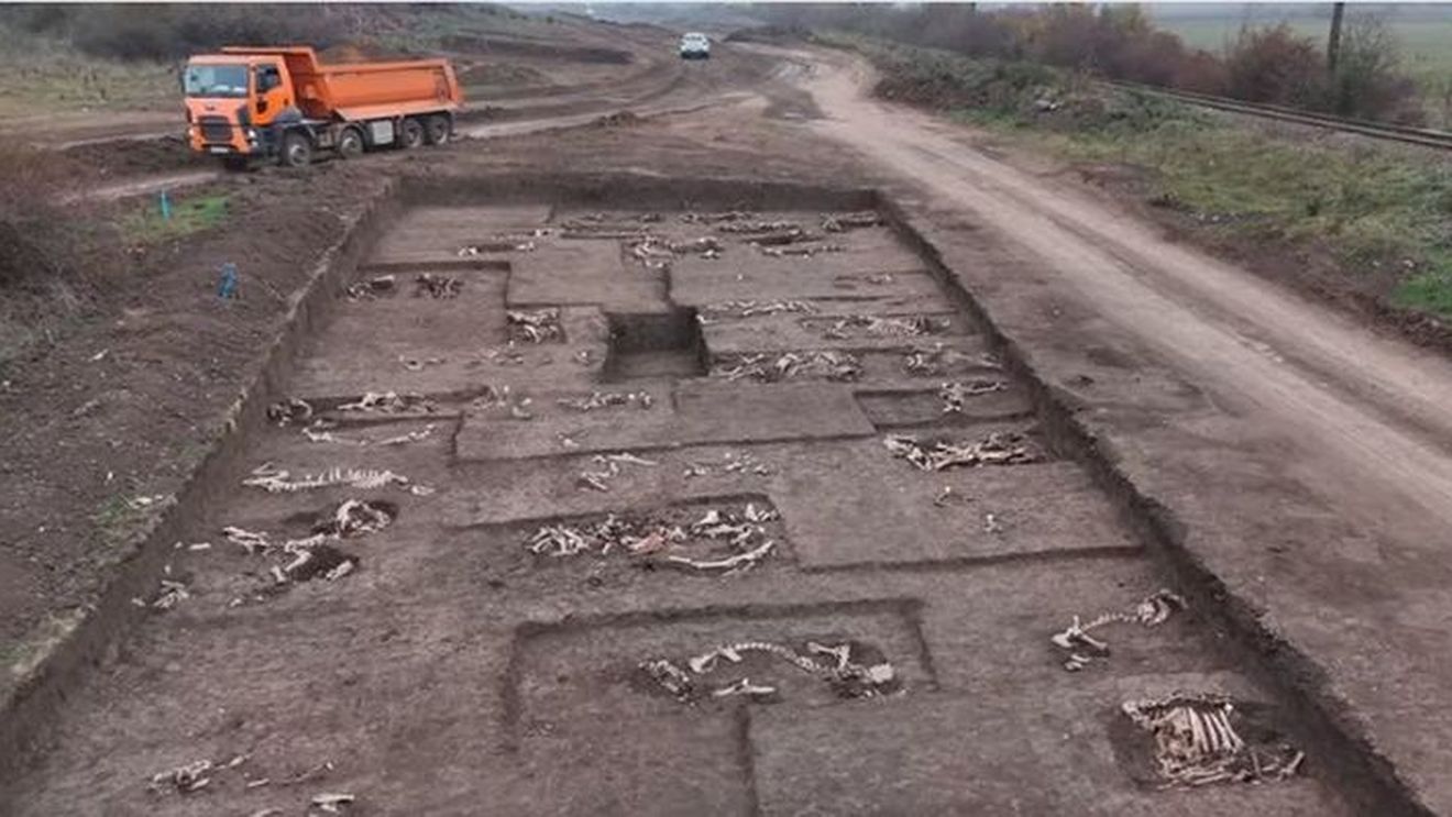 Cimitirul animalelor domestice/ Schelete de animale, cu precădere cai şi bovine, descoperite într-un cimitir sarmatic vechi de 1.900 de ani/ Șantierul arheologic se află pe traiectul Lotului 4 al căii ferate Timişoara-Arad