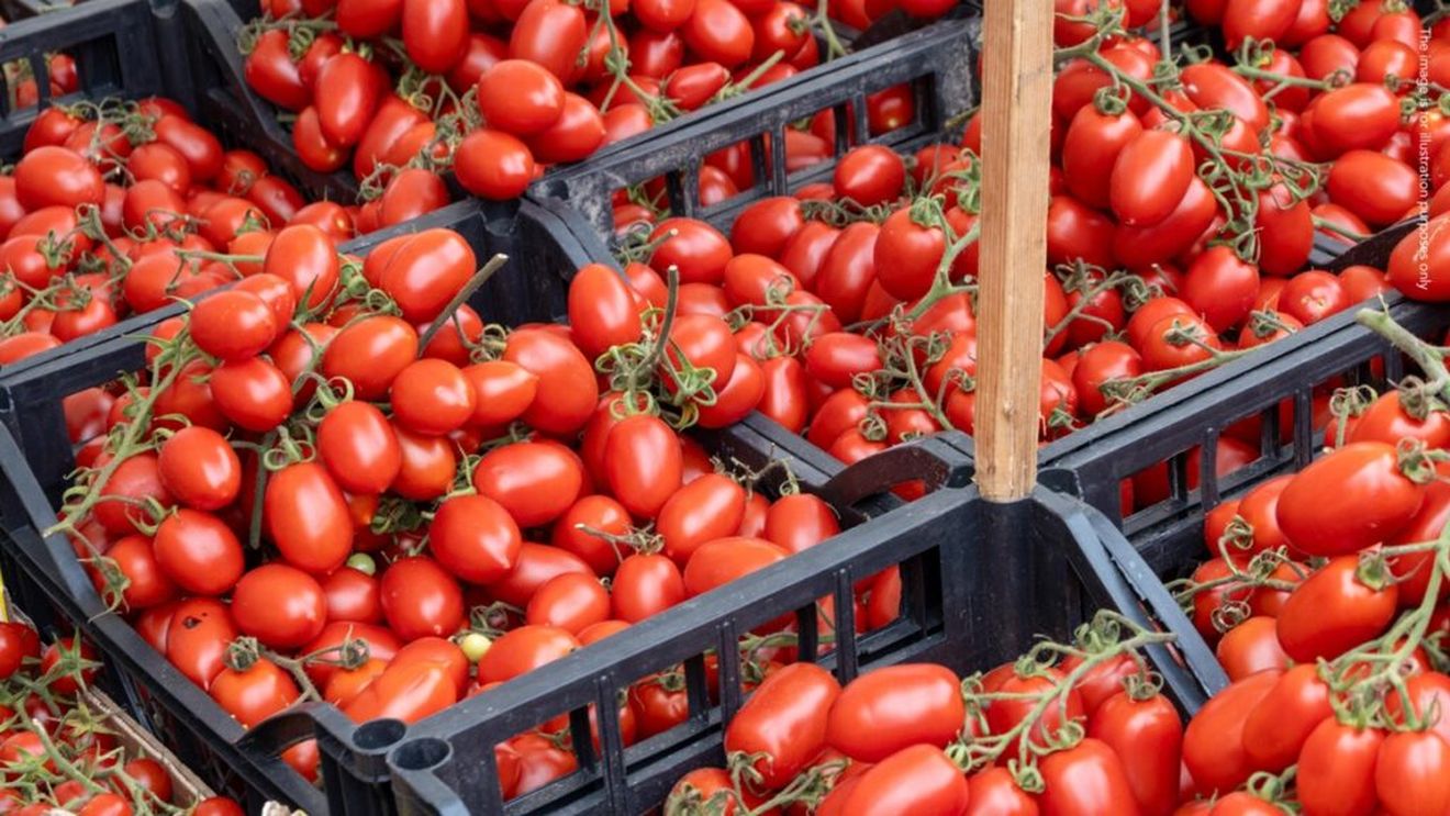 Fraudă cu subvenții agricole europene în Italia / Zece suspecți, vizați de măsuri preventive și aproape un milion de euro a fost pus sub sechestru