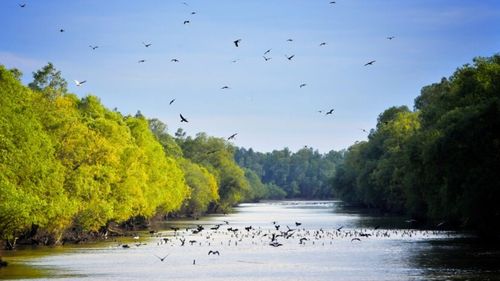 Debitul Dunării este la un minim istoric pentru această perioadă în România şi în Ungaria. Acest lucru afectează atât transportul fluvial, cât și agricultura și ecosistemele locale