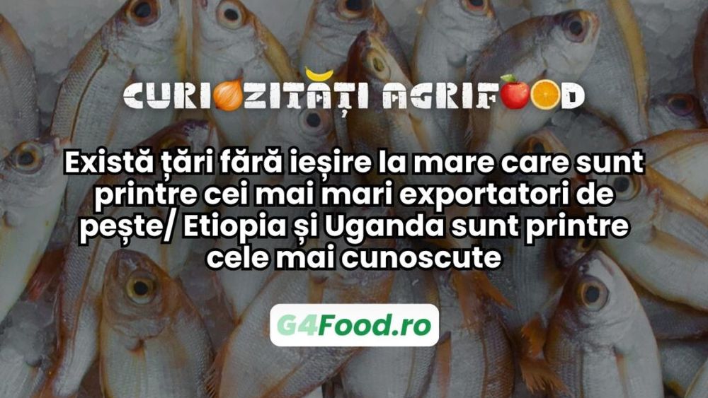 Curiozități agrifood - 30 iunie | Există țări fără ieșire la mare care sunt printre cei mai mari exportatori de fructe de mare/ Etiopia și Uganda, de pildă