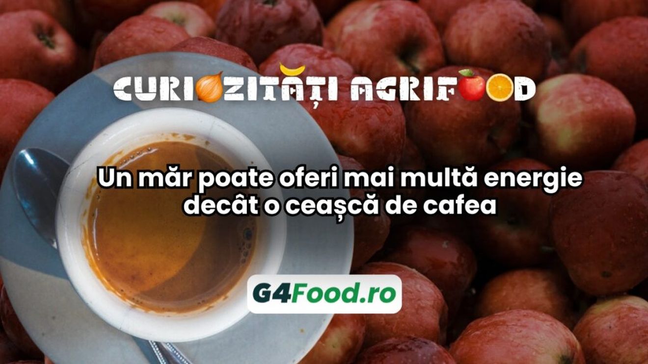 Curiozități agrifood – 21 noiembrie: Un măr poate oferi mai multă energie decât o ceașcă de cafea