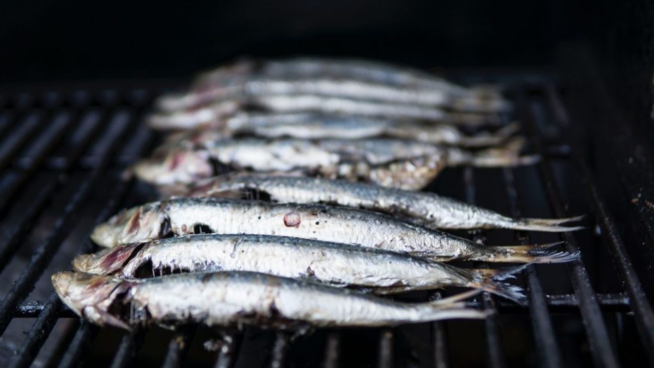 Pescarii scoțieni plătesc prețul Brexit: vând tot mai greu pe piața europeană, peștele li se strică în camioanele oprite în vămile de la frontiera U.E.