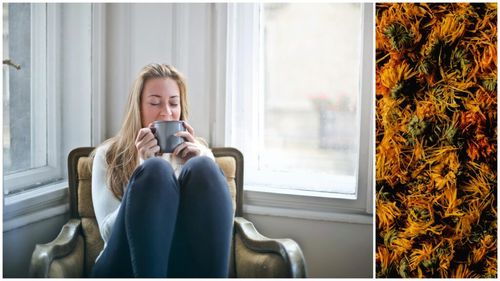 „Ceaiuri românești”: Ceaiul de gălbenele are proprietăți antimicrobiene și antifungice. Atenție, însă: la fel ca sunătoarea, acesta nu este o băutură pentru toată lumea