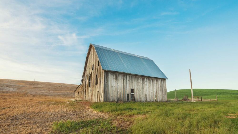 Ceva otrăvește fermele americane. Agricultorii se tem că este vorba despre „substanțele chimice veșnice”