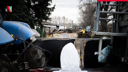 Două asociații ale fermierilor solicită printr-o scrisoare deschisă interzicerea pe teritoriul României a întregului aflux de produse ce pot fi contaminate cu virusul febrei aftoase