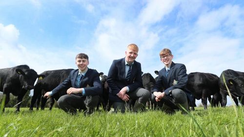 Irlanda o ia înaintea UE și lansează o strategie pentru atragerea tinerilor în agricultură și zootehnie