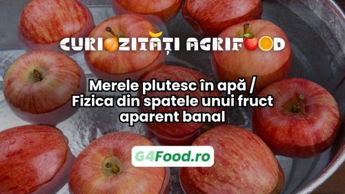 Curiozitate agri-food: Merele plutesc în apă / Fizica din spatele unui fruct aparent banal