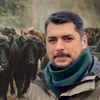 INTERVIU | Ștefan Bărbulescu, fondator Angus Farm: „Putem să ne dăm seama în ce sezon a fost sacrificat animalul după gustul fripturii”. Cum se crește vita 100% grass-fed în România