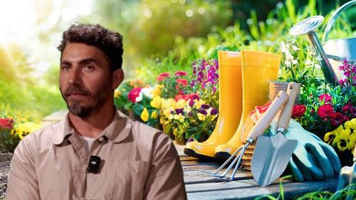VIDEO | De unde vine mâncarea? Ovidiu Dinișor: „Dacă un copil nu vede cum crește o plantă, normalitatea lui va fi doar supermarketul”