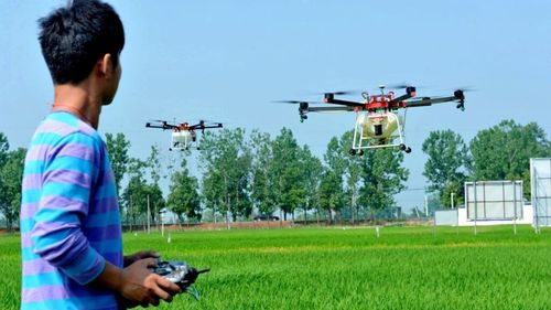 Shanghai, oraș-pionier în agricultura high-tech din China, care începe să ia locul celei tradiționale. „Tinerii de azi sunt mai bine educați și au un nivel de trai mai ridicat și nu vor să muncească pământul ca părinții sau bunicii lor”