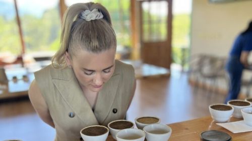 Cluj-Napoca găzduiește prima ediție Transylvania Coffee Festival, între 29 și 31 august / Programul festivalului include și sesiuni interactive de Q&A despre cafea