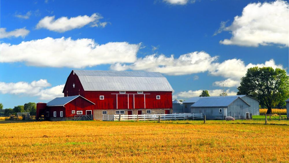 Fermierii pot cere demolarea locuințelor construite în perimetrele exploatațiilor agricole / Proiectul adoptat de Senat ajunge la Camera Deputaților