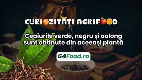 Curiozități agrifood - 1 octombrie: Ceaiurile verde, negru și oolong sunt obținute din aceeași plantă, fără alte ingrediente adăugate