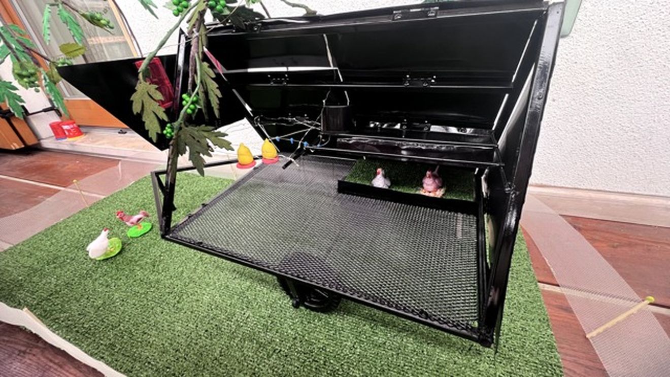 Pui crescuți printre rândurile de vie. Un startup italian încercă să îmbunătățească în acest fel fertilitatea solului