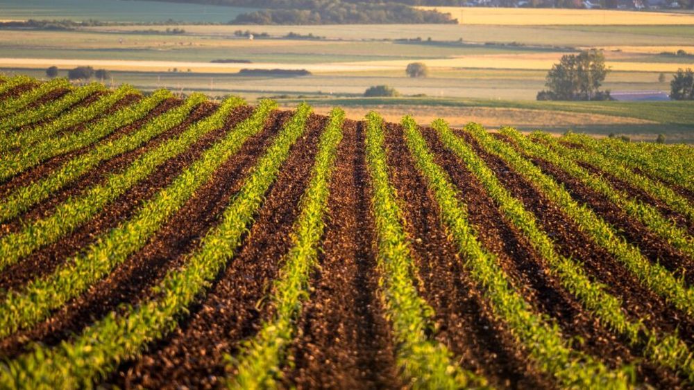 Preţul mediu al unui hectar de teren arabil în România, în creștere: 41.624 lei/ha în 2023, mai mult cu 4,8% faţă de 2022