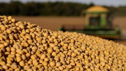 Importatorii europeni de cereale și soia se tem de „furtuna perfectă” provocată de războiul tarifar/ „Efectele se vor resimți de-a lungul întregului lanț alimentar și agrozootehnic”