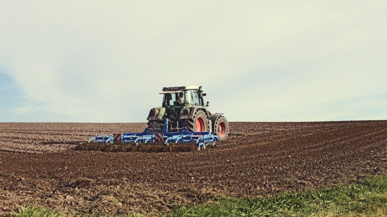 Eurostat: Preţul mediu al unui hectar de teren arabil, 11.791 euro în UE şi 8.414 euro în România, în 2023