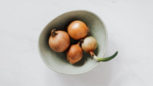 Spaniolii au depistat salmonela în pudră de ceapă importată din India