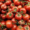 Secretul roșiilor gustoase și zemoase. „Regula de aur” pe care o recomandă cultivatorii italieni