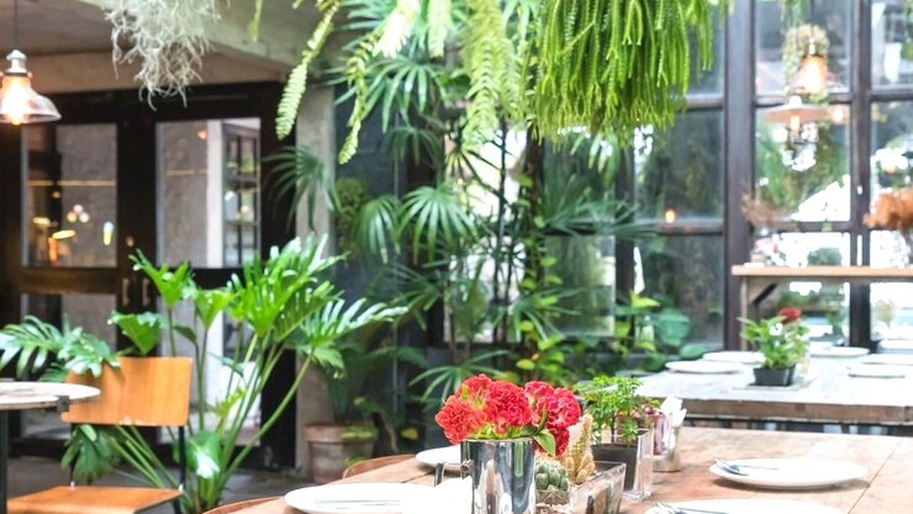 Să bei o cafea printre flori și plante sau să asortezi consumația cu un play list, sau mai multe. Noile tendințe HoReCa la New York