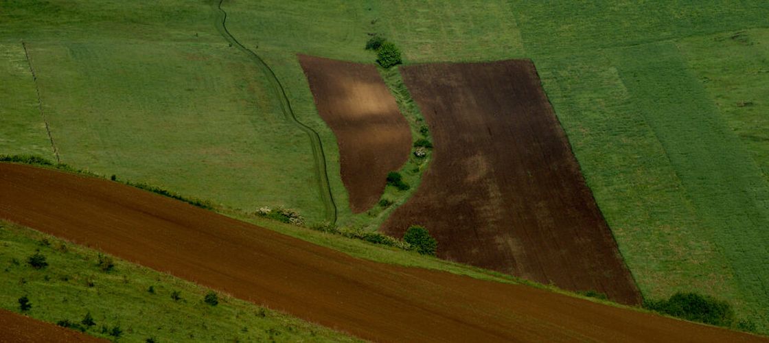 Clujul, ocolit de secetă? Direcția Agricolă: „Zero hectare și zero fermieri cu pagube raportate”
