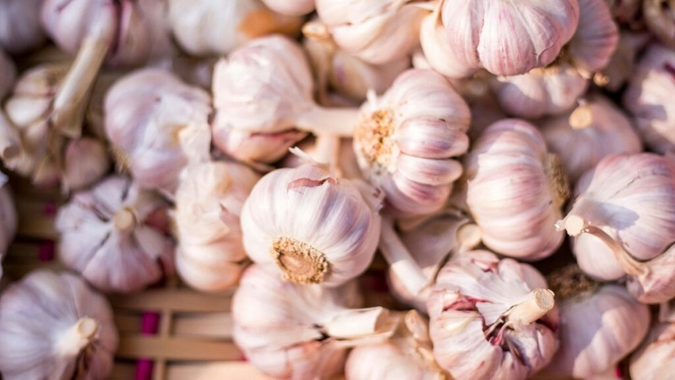 Peste 200 de producători de usturoi din Olt au depus cereri pentru ajutor de stat