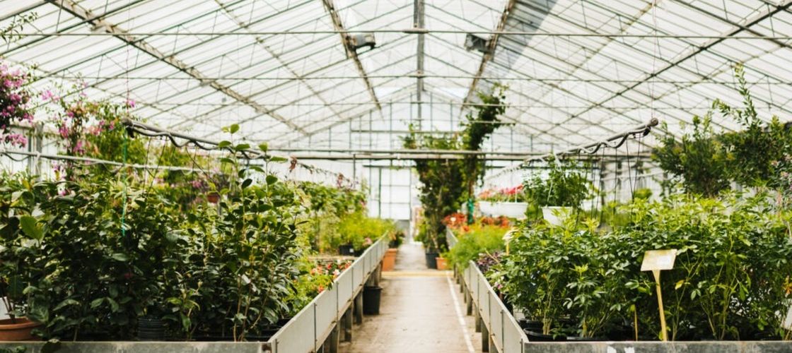 Fermierii din Olt vor un hub agroindustrial la Drăgăşani: „Un centru logistic care să deservească tot ceea ce înseamnă agricultura şi agro-bussines-ul românesc”