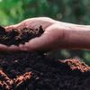 În plină criză a fertilizanților, un produs natural, din resturi vegetale și microalge, îmbunătățește solul și crește rentabilitatea agricolă