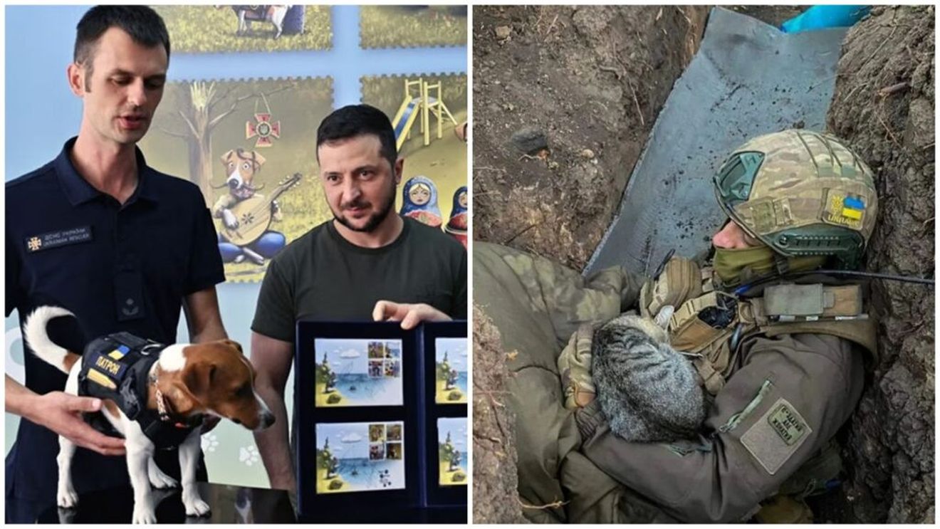 Războiul din Ucraina: Impactul devastator pe care îl are conflictul asupra animalelor / Reprezentant industria lactatelor: 200.000 de vaci au fost ucise