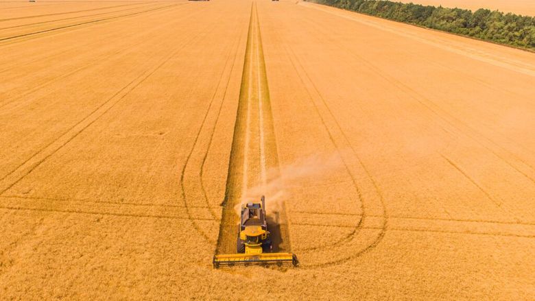 Un gigant agricol cu sute de mii de hectare a fost naționalizat în Rusia, pe fondul presiunilor tot mai mari asupra mediului de afaceri / Proprietarul este în arest