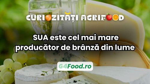 Curiozitate agri-food: SUA, cel mai mare producător de brânză din lume / Franța rămâne campioana gustului, dar nu și a volumului