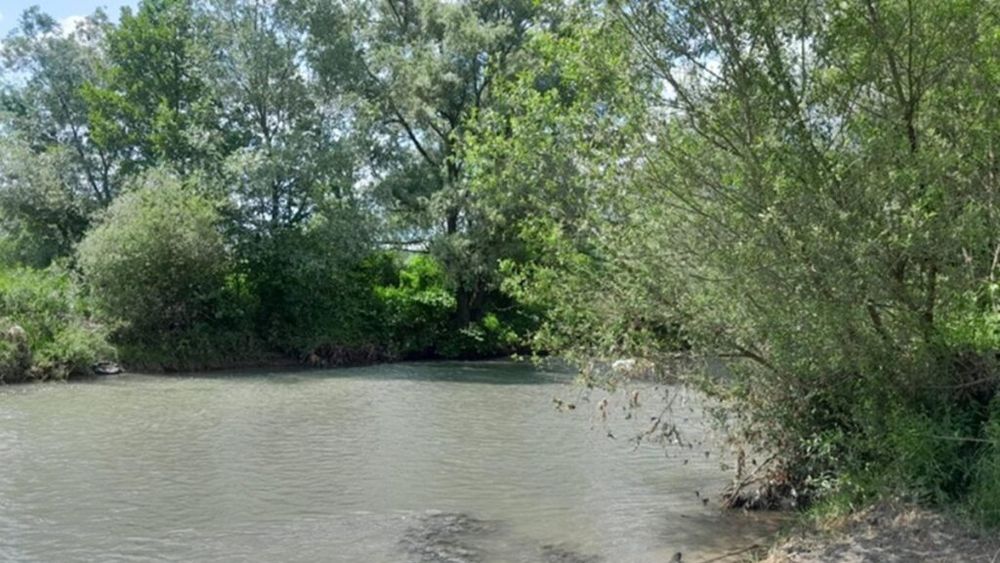 Nivelul de salinitate în râurile Târnava Mică şi Mureş înregistrează o scădere vizibilă, dar continuă să fie variabil / Este în limita de potabilizare la ieşirea râului Mureş din ţară 