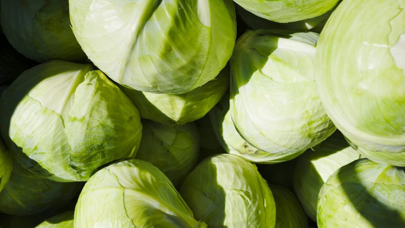 Cum să prepari varza ca să fie mai ușor de digerat și să provoace mai puțină balonare / De ce varza fermentată este mai blândă pentru stomac decât cea crudă