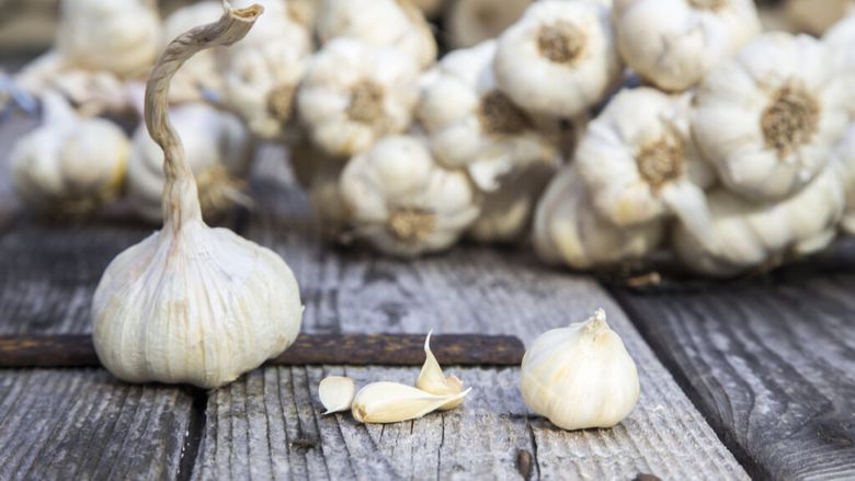 Mănânci usturoi în fiecare zi? Ce efecte are asupra organismului / Ce cantitate ar trebui să consumi