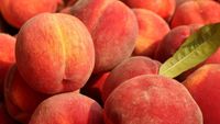 ABC în bucătărie: „Regula palmei”. Greșeala care face ca piersicile cumpărate din supermarket să nu aibă niciodată gust / Fermierii au o regulă simplă pentru a le alege pe cele mai dulci