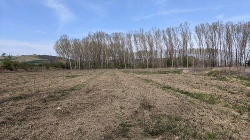 COP29 | Reprezentantul regional FAO: Schimbările climatice sunt un factor semnificativ al insecurităţii alimentare