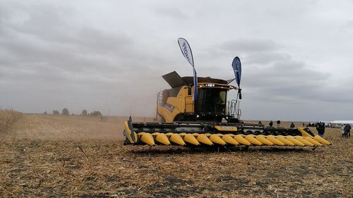 68 de miliarde de lei, cifra de afaceri a firmelor din agricultura românească, în 2022, mai mare cu 8 miliarde de lei decât în 2021; trendul este crescător