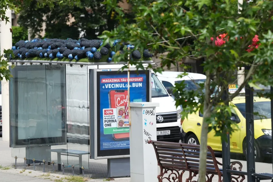 Primăria Craiova a montat fructe gigant peste stațiile de autobuz din municipiu