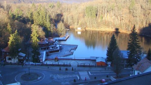 Algele din Lacul Ursu din Sovata ar putea fi un aliment al viitorului / O echipă internațională de cercetători le studiază