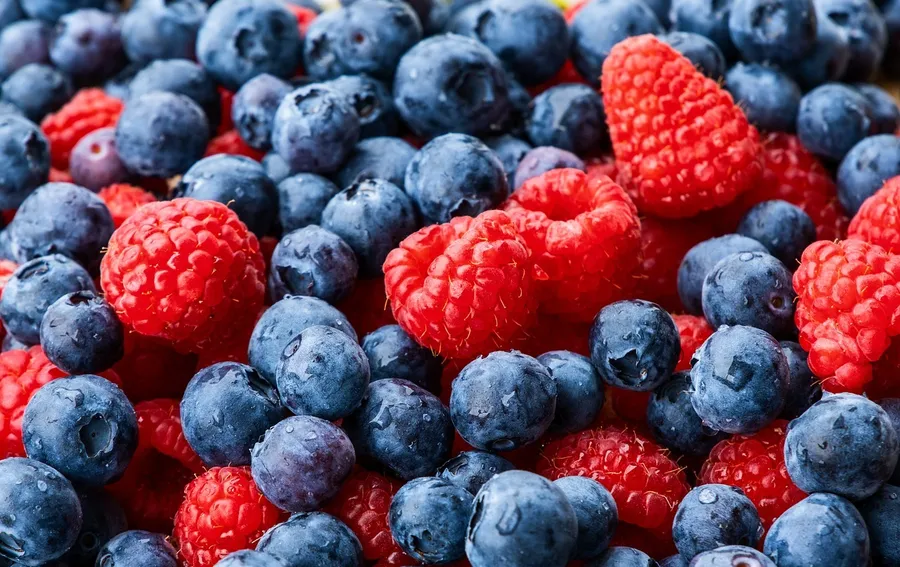 alimente, sala, recuperare musculara, nutritionisti