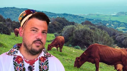 VIDEO | Carne de vită premium din Spania. Adrian Doboș (El Chuleton): Alimentația animalului e importantă. Spaniolii cresc vitele pentru carne. E mare diferență față de ce facem noi