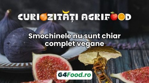 Curiozitate agrifood - 22 iulie: Smochinele sunt fructe, dar nu sunt chiar complet vegane