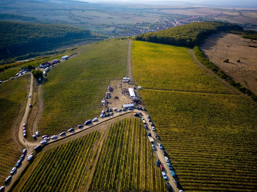 festival vin podgorie