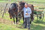 Roberto Pieroni a investit într-o vie din Delta Dunării/ Azi a ajuns să exporte vinul ”La Sapata” în SUA, Elveția și Japonia